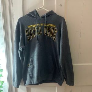 College Hoodie- UC Santa Cruz